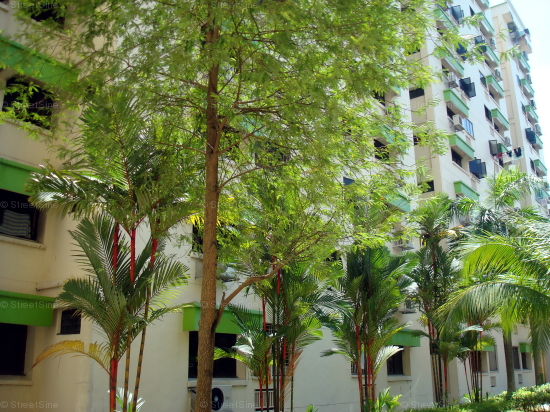 Woodlands Ring Road thumbnail photo